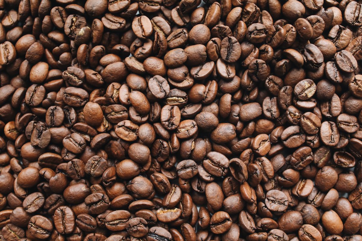 Freshly roasted beans cooling