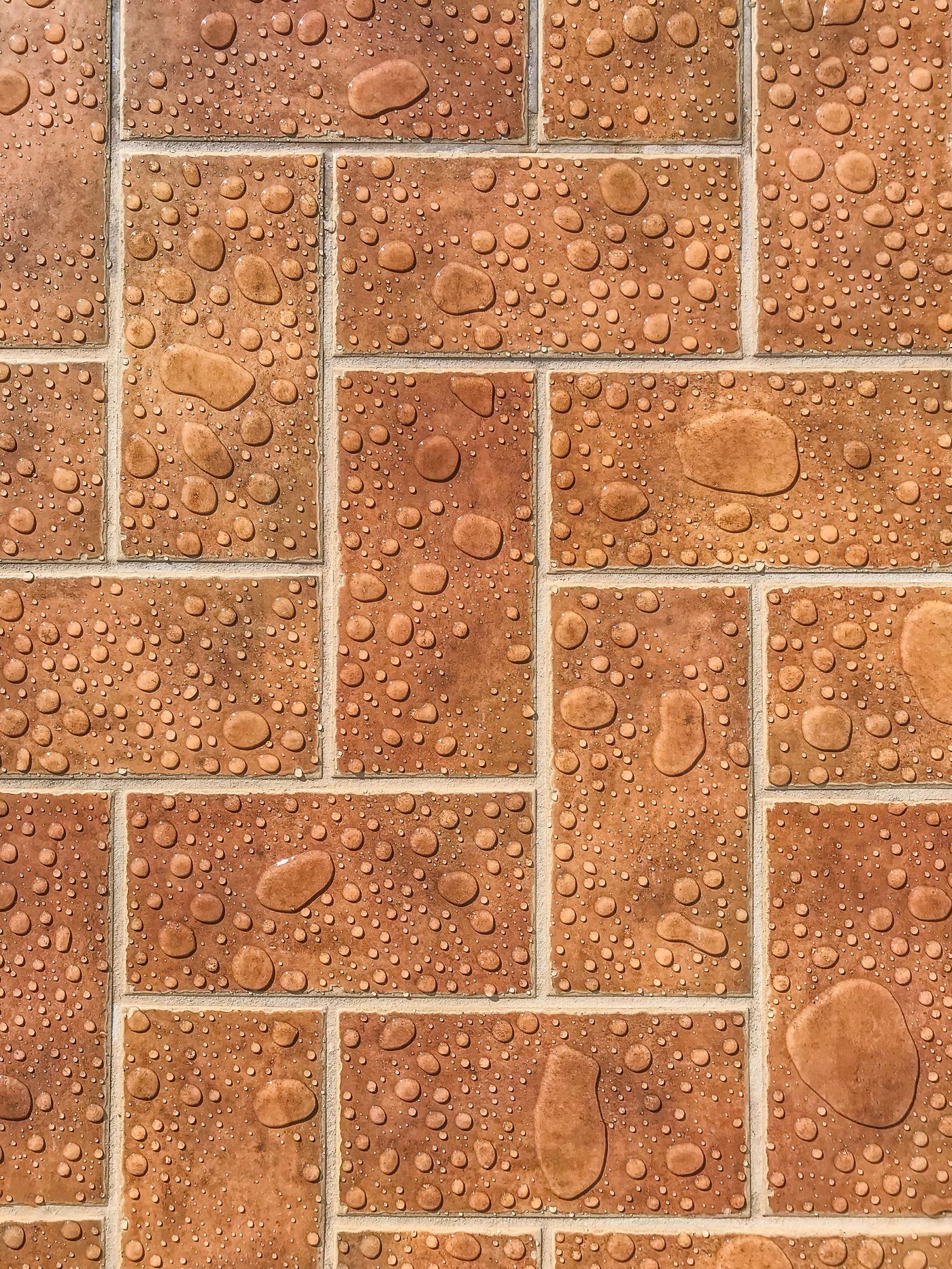 Freshly rinsed wet brick