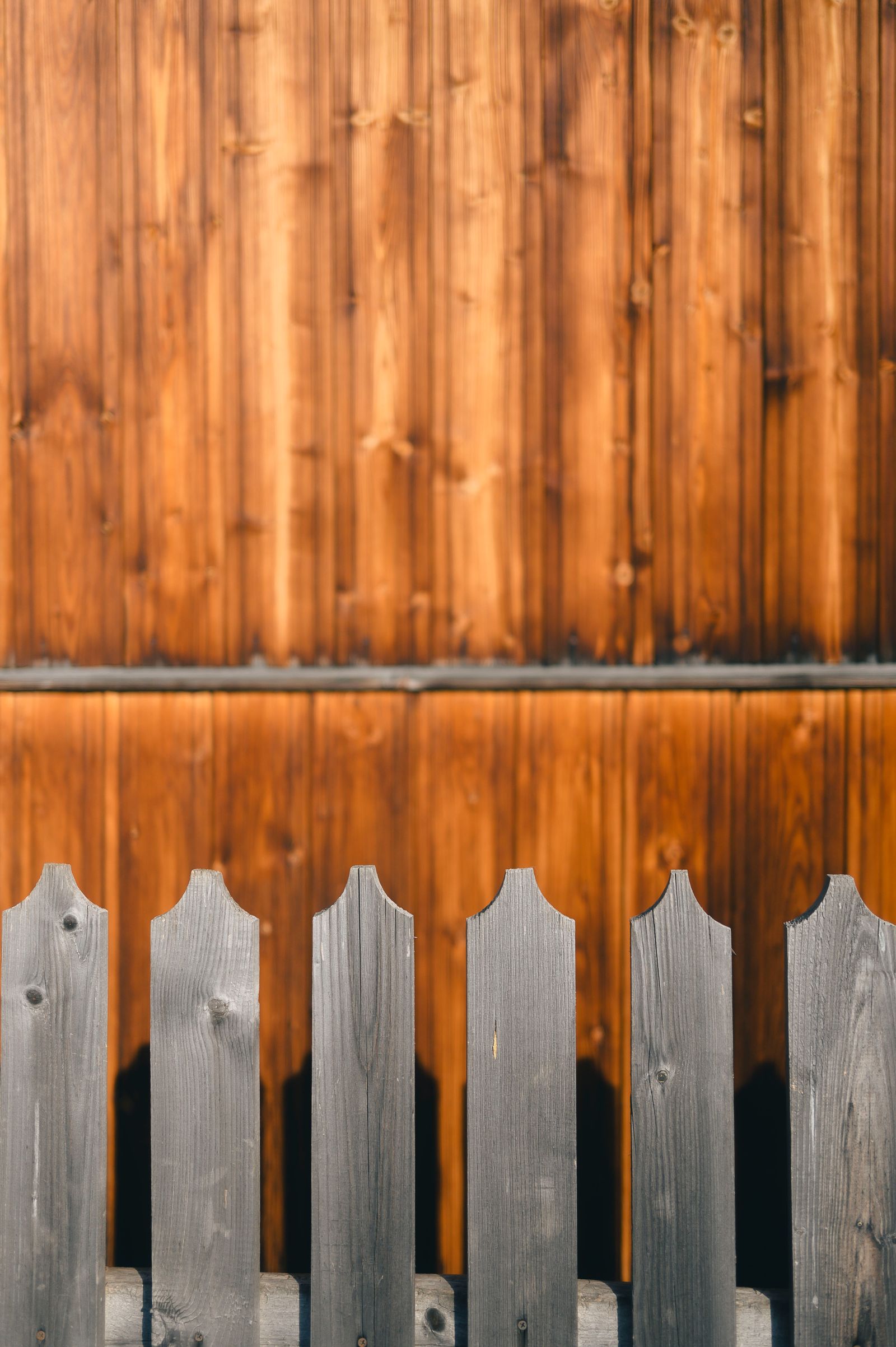 Cedar fence boards
