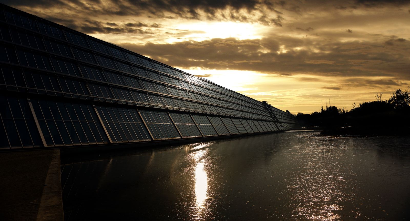 Solar panel array in low evening sun