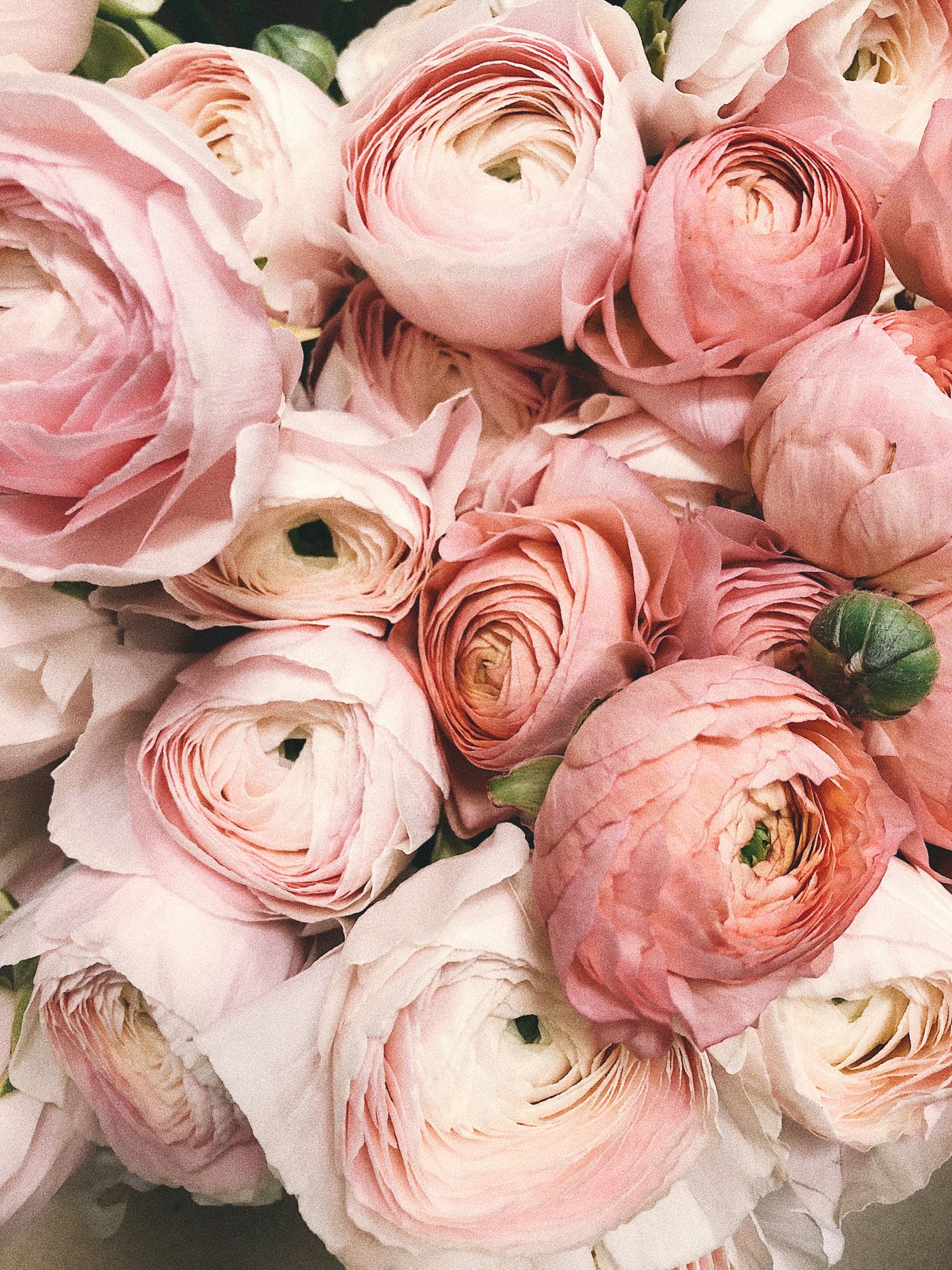 A soft pink fresh-cut bouquet
