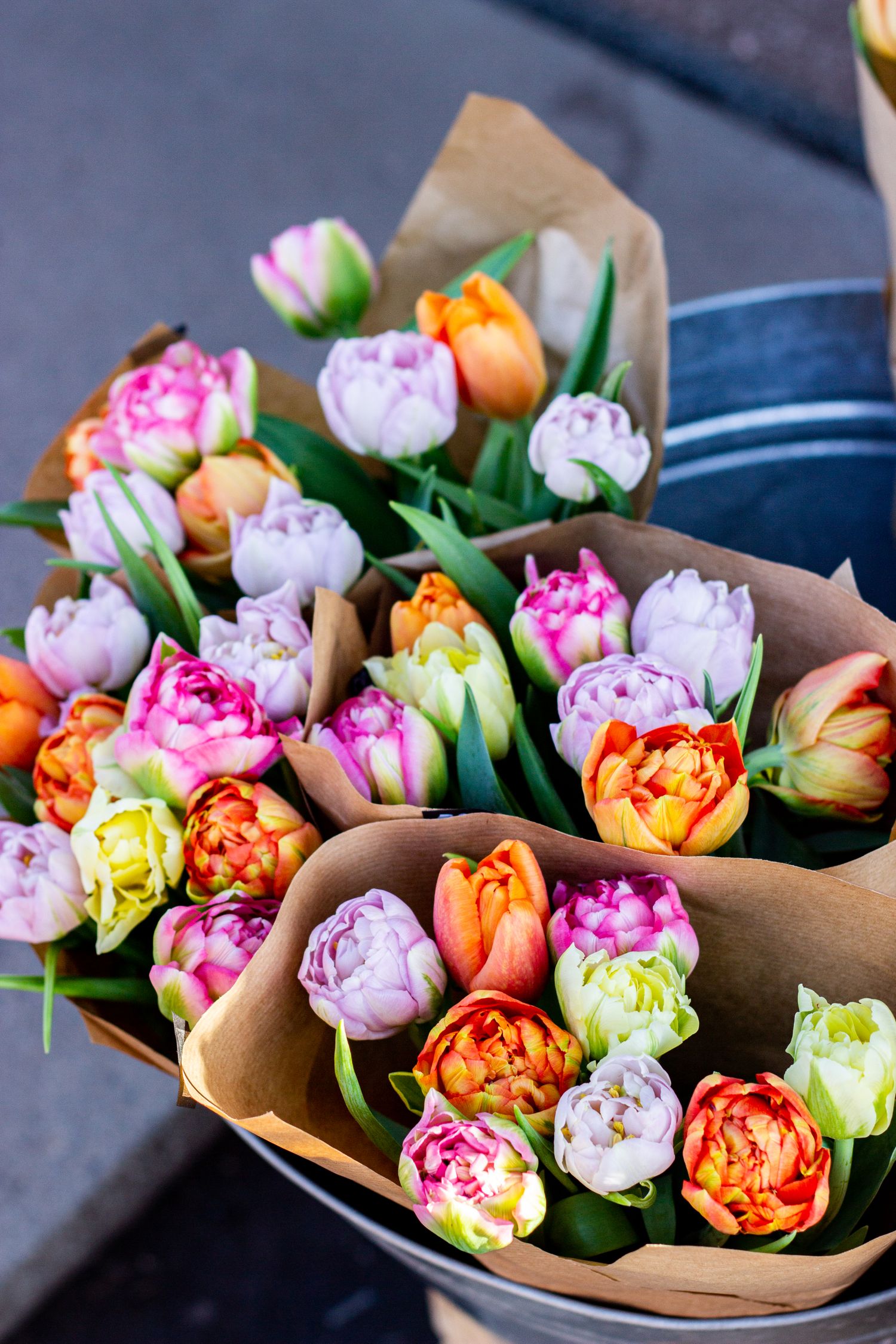 Tulip bouquets hand-wrapped in kraft paper