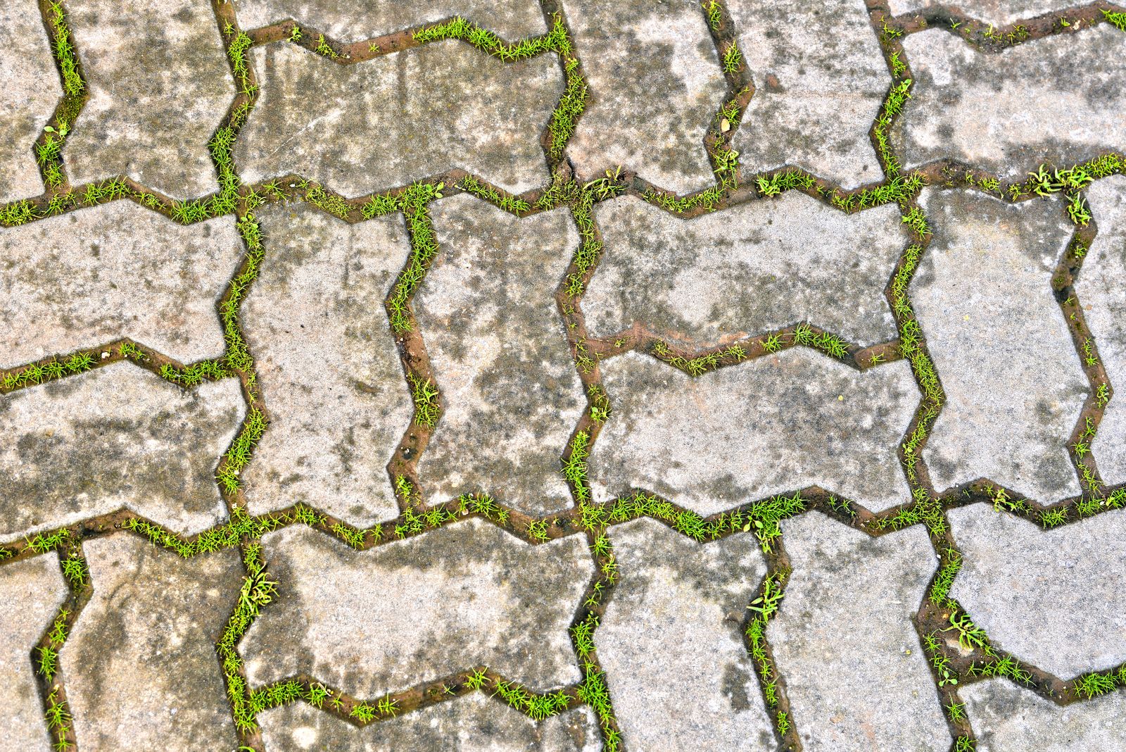 A stamped concrete patio