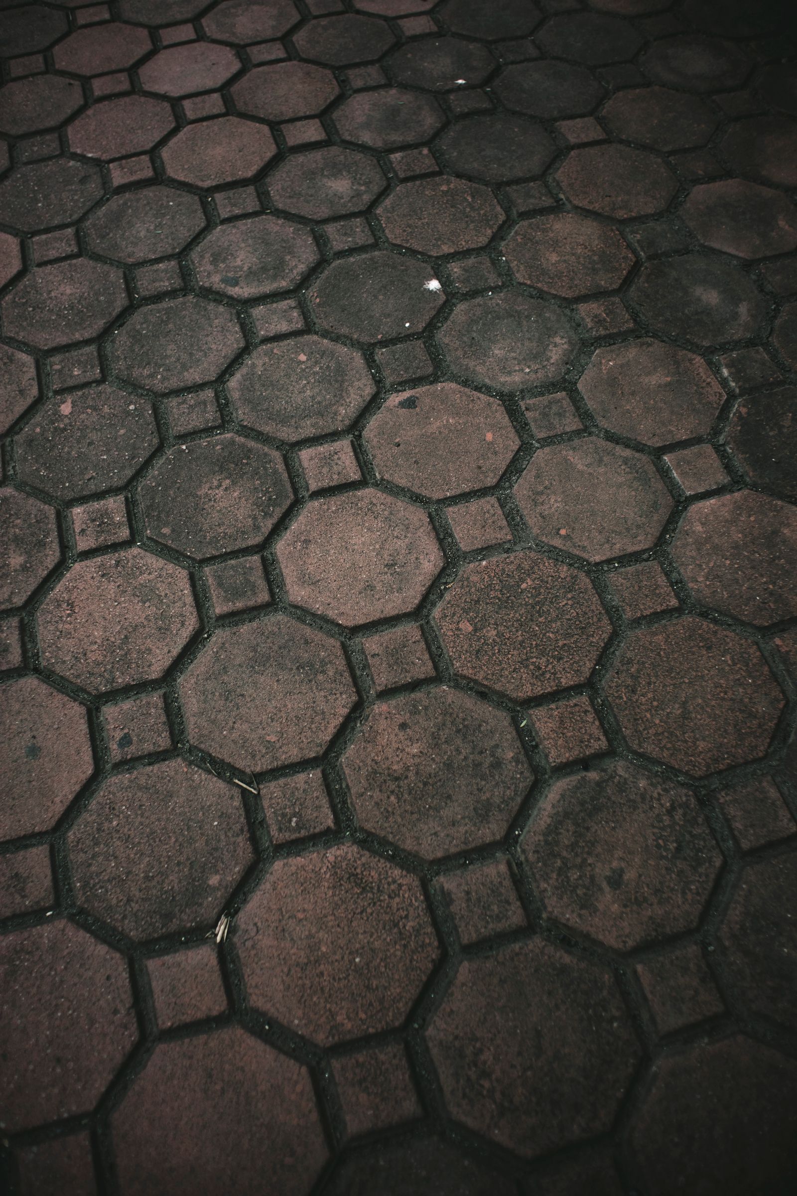 Patterned concrete patio