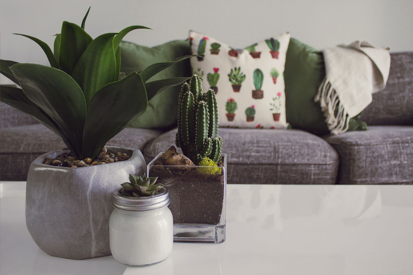 A shelf of potted succulents and a small plant in a jar