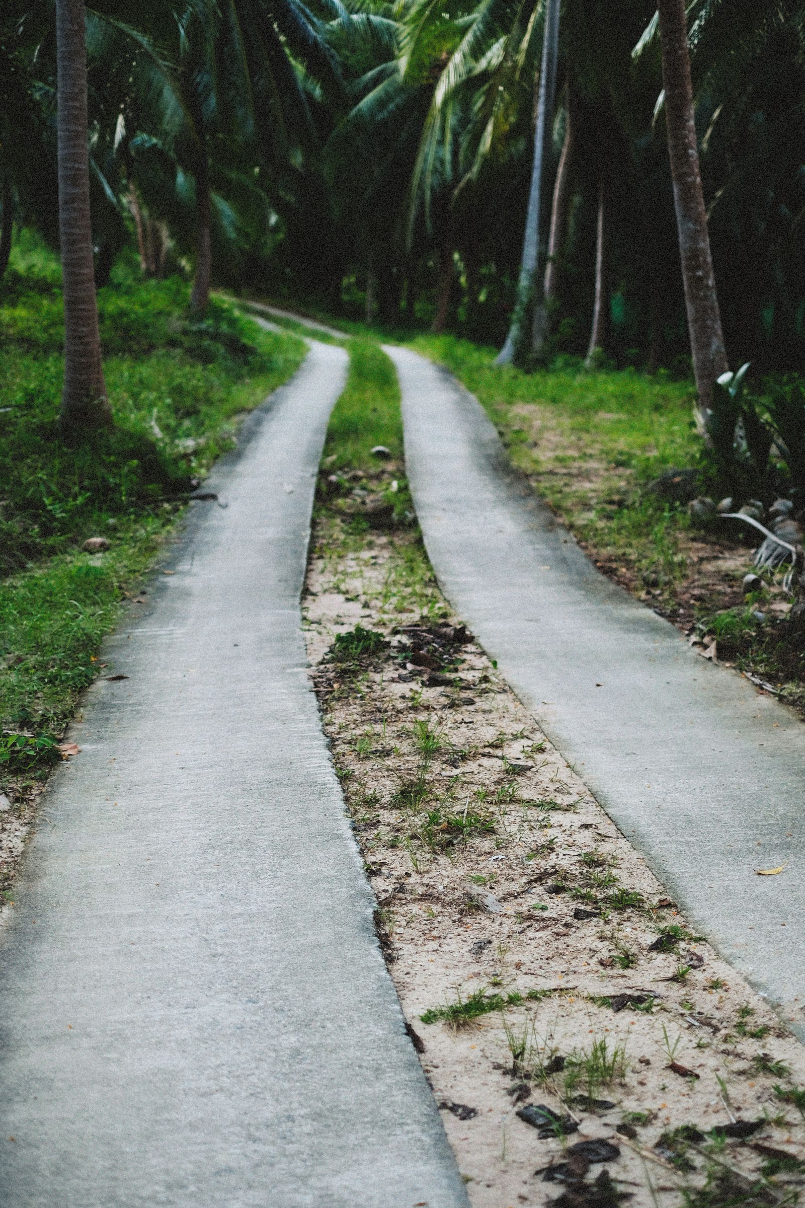 Poured concrete driveway