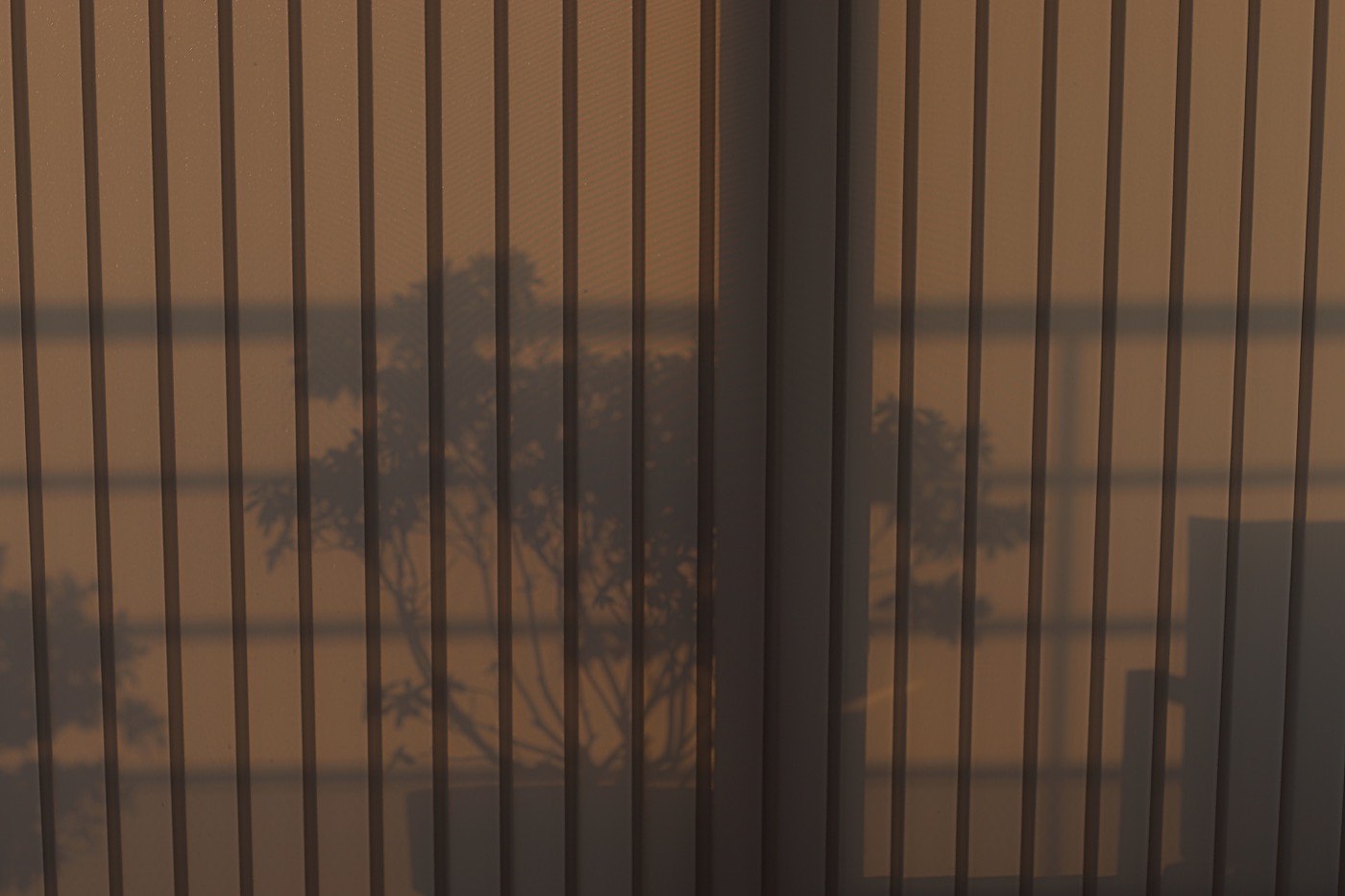 Light filtered through blinds