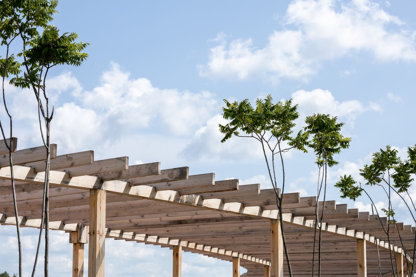 Close-up of a wooden pergola against the sky
