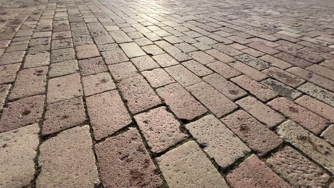 A finished green lawn and paver patio in warm evening light