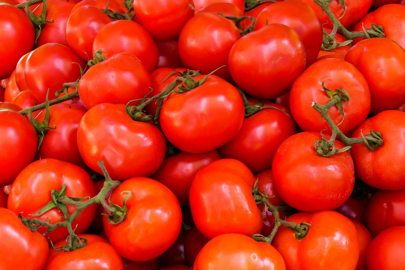 Vine tomatoes — swap with a real Queensdale photo