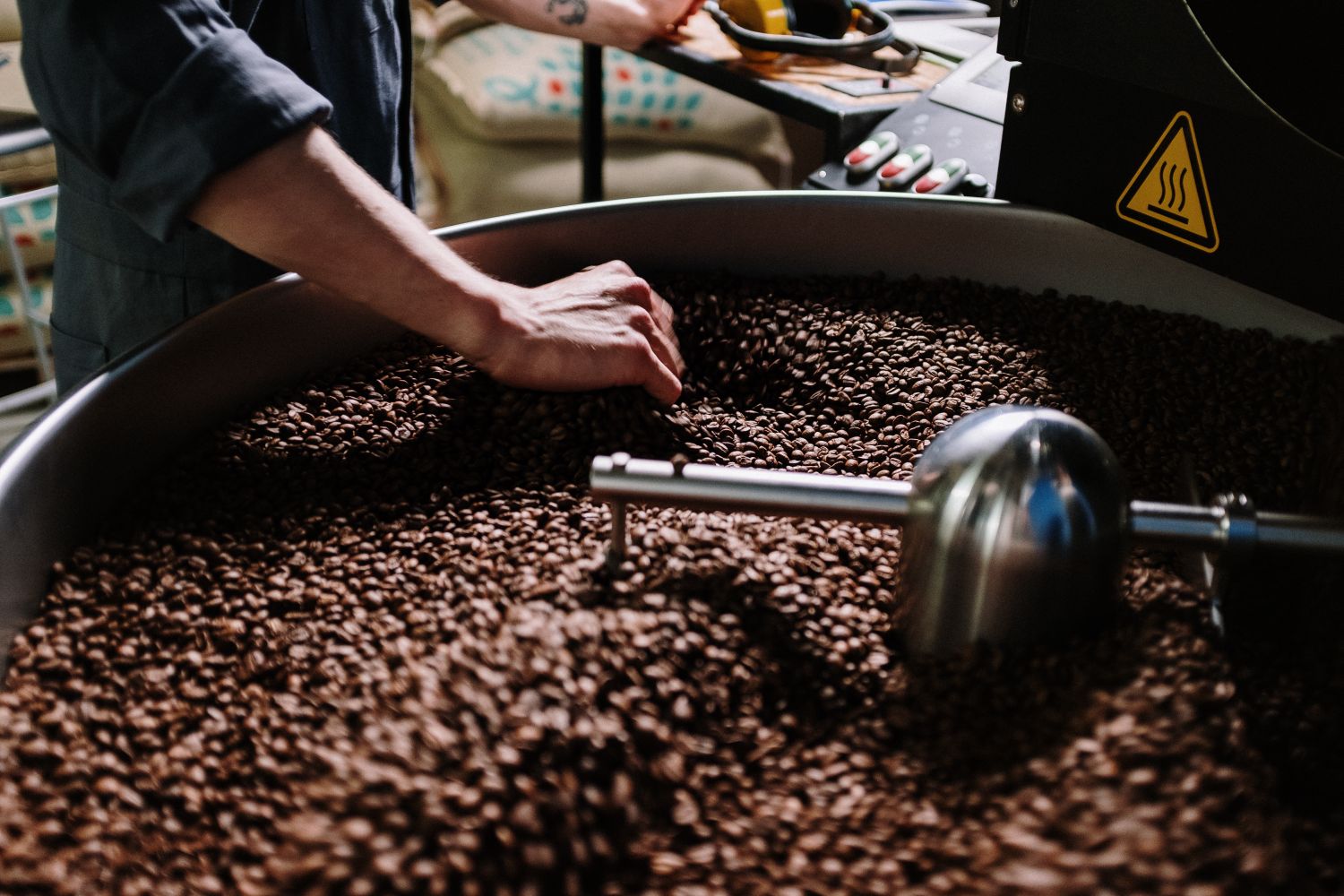 Scooping roasted beans at the drum
