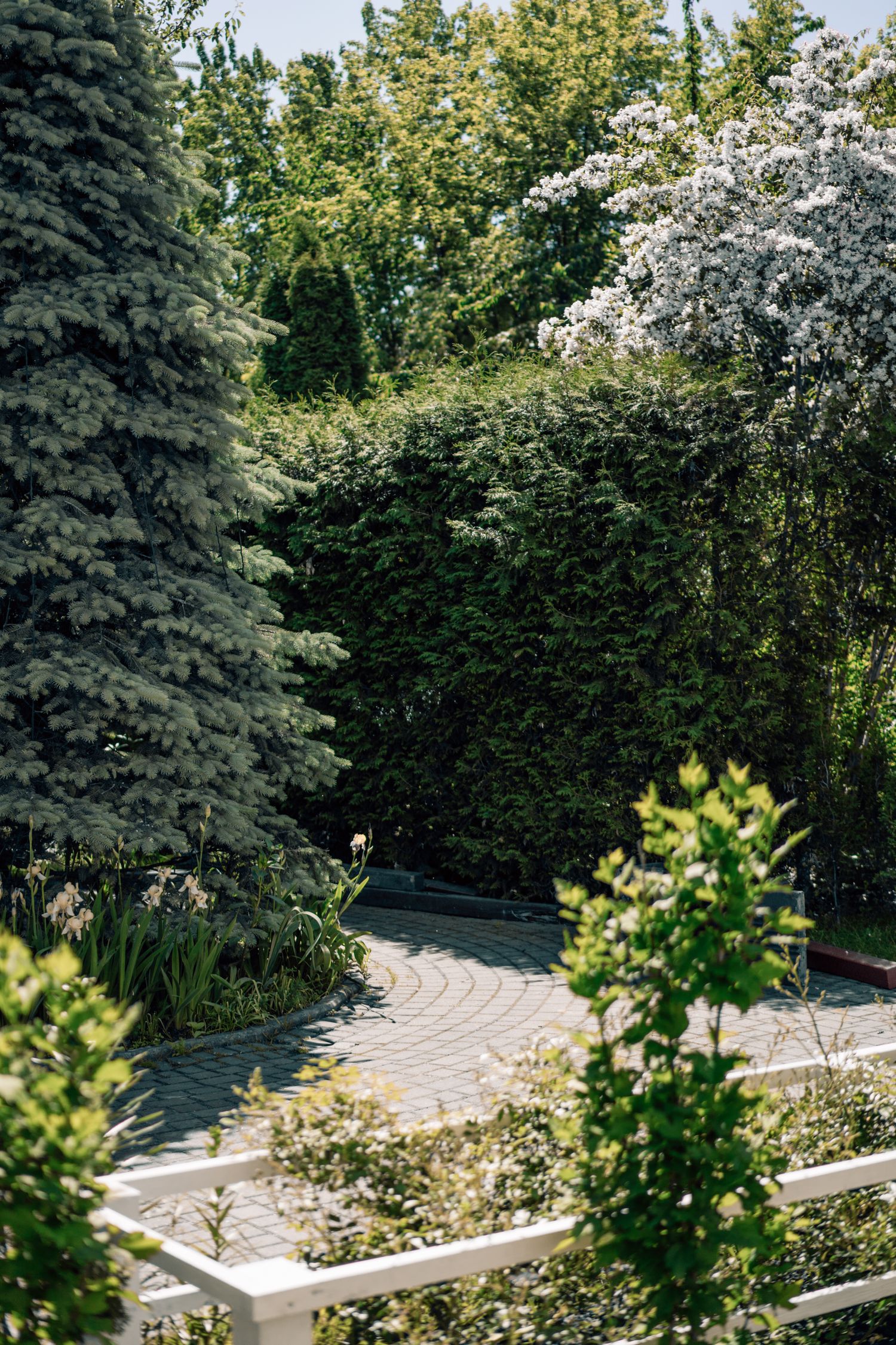 Curved paver pathway through greenery