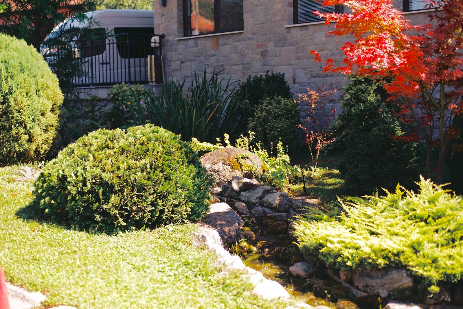 A finished landscaped yard with a feature maple and stone border