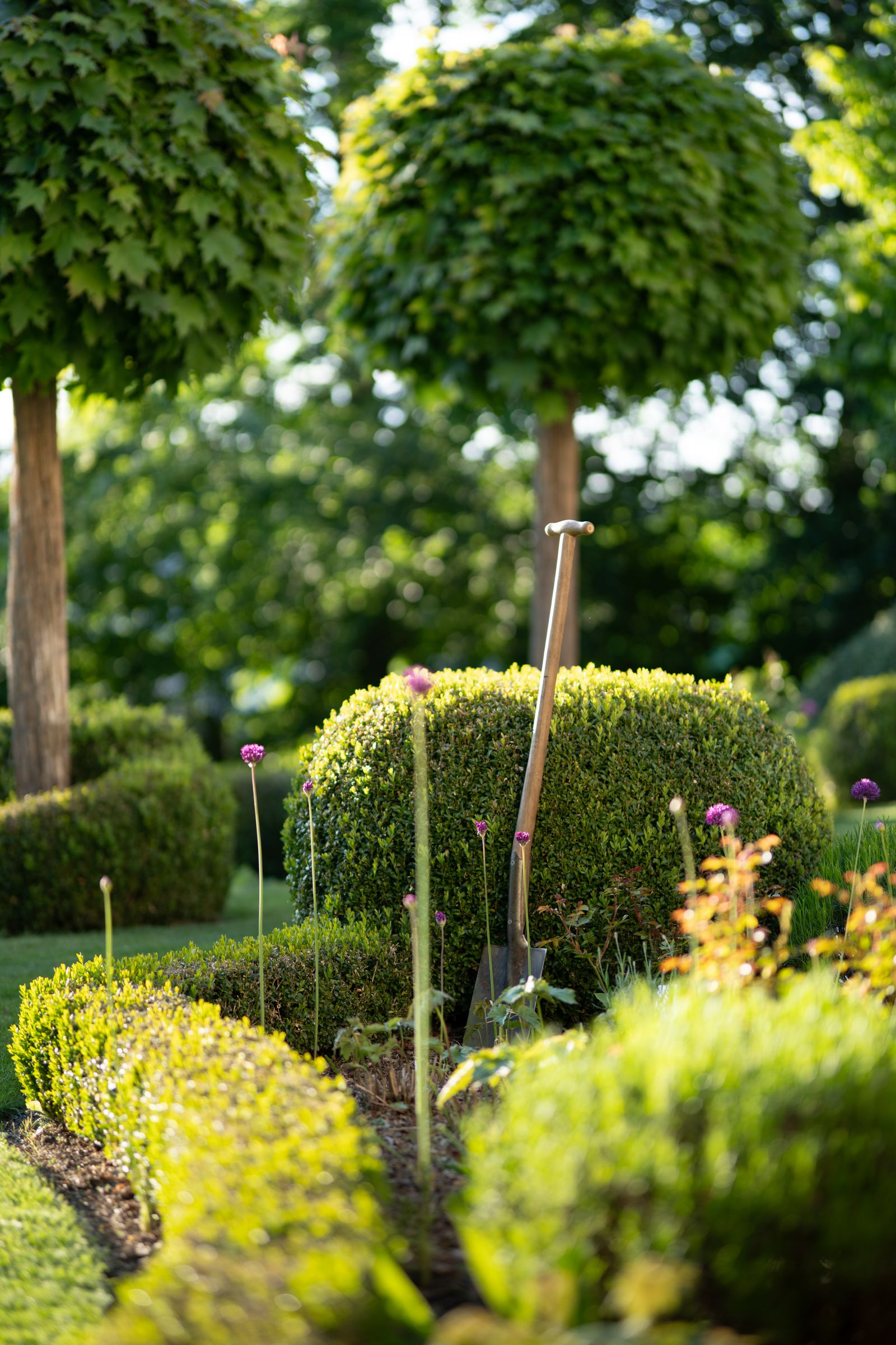 A planted garden bed