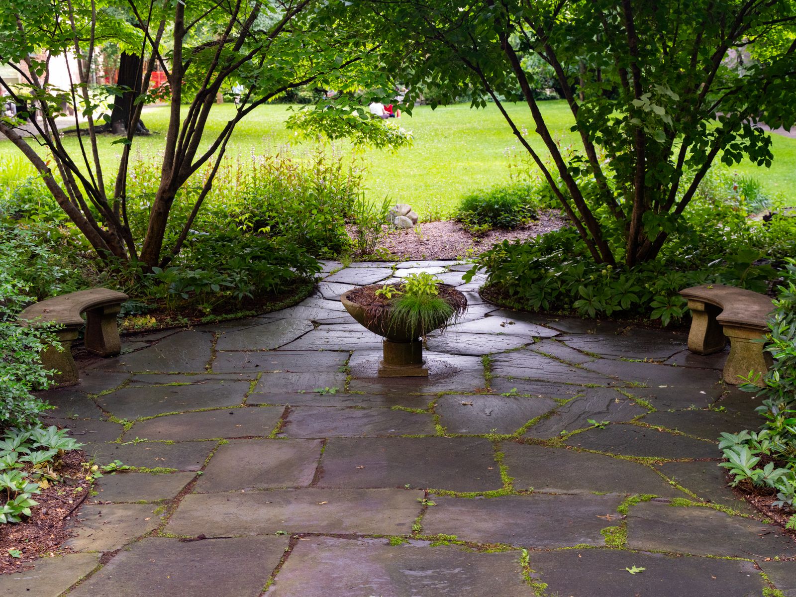 A stone patio bordered by mature planting