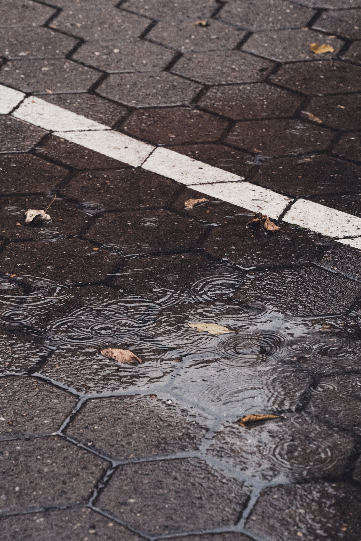 Freshly washed paving