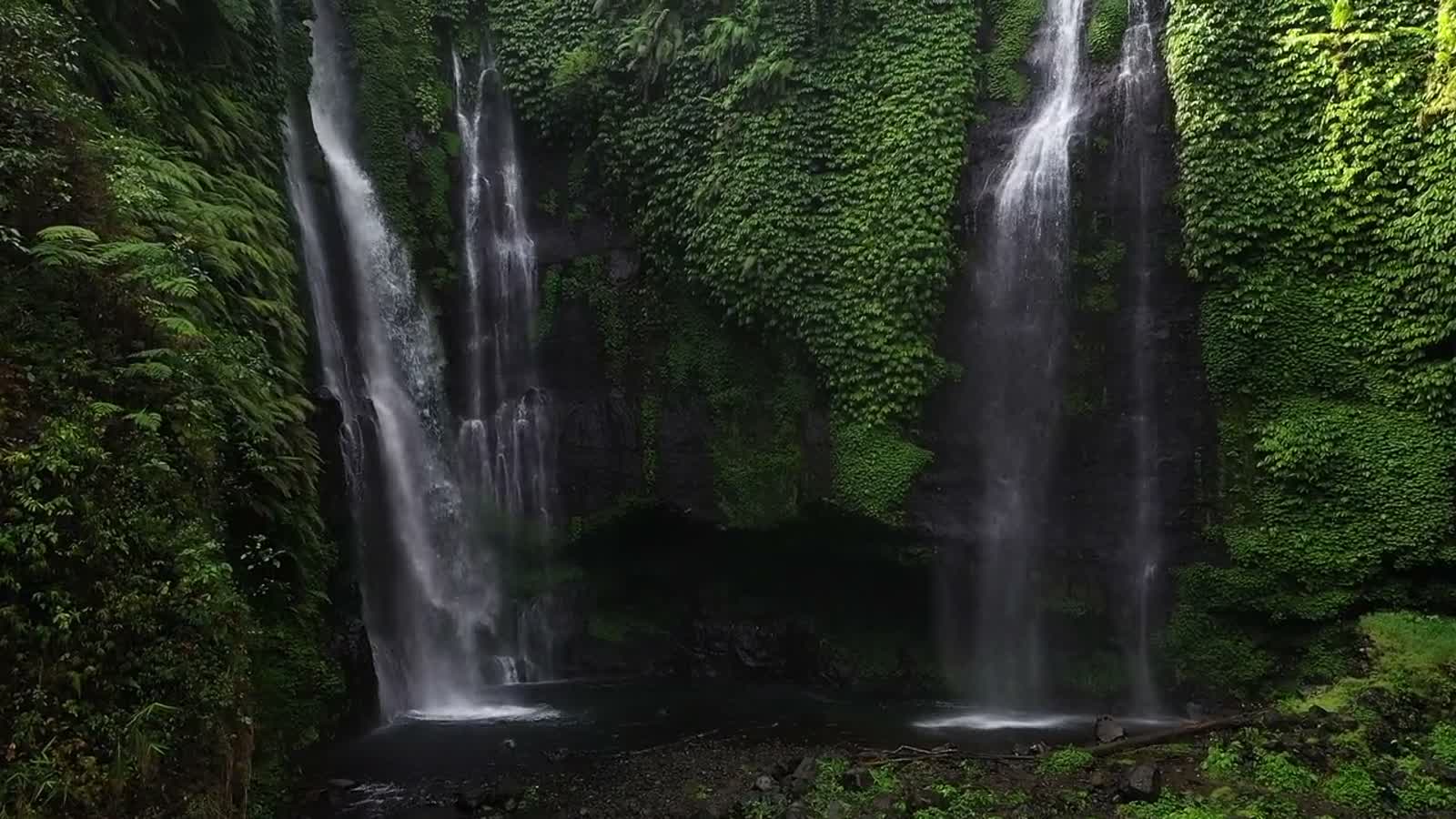 Still, mist-covered water and forest